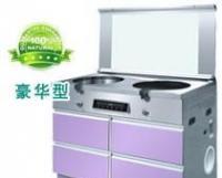 大量1下排氣集成環(huán)保灶[供應]_世界工廠網(wǎng)中國產(chǎn)品信息庫