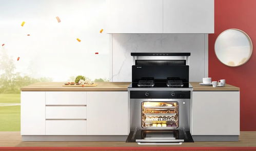 森歌集成灶61開(kāi)門(mén)紅 第一又見(jiàn)第一,以及高速增長(zhǎng)的背后